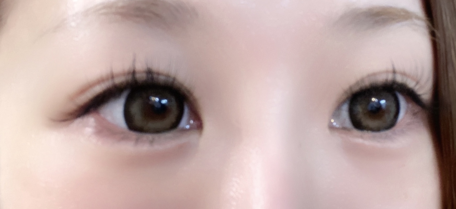 アラモード・ブラウン[1年用]  14.3mm Alamode Brown