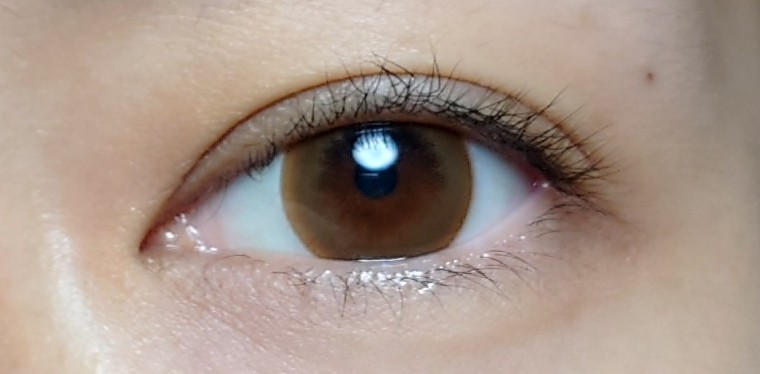 ミント・チョコ [1年用] 14.0mm Mint Choco