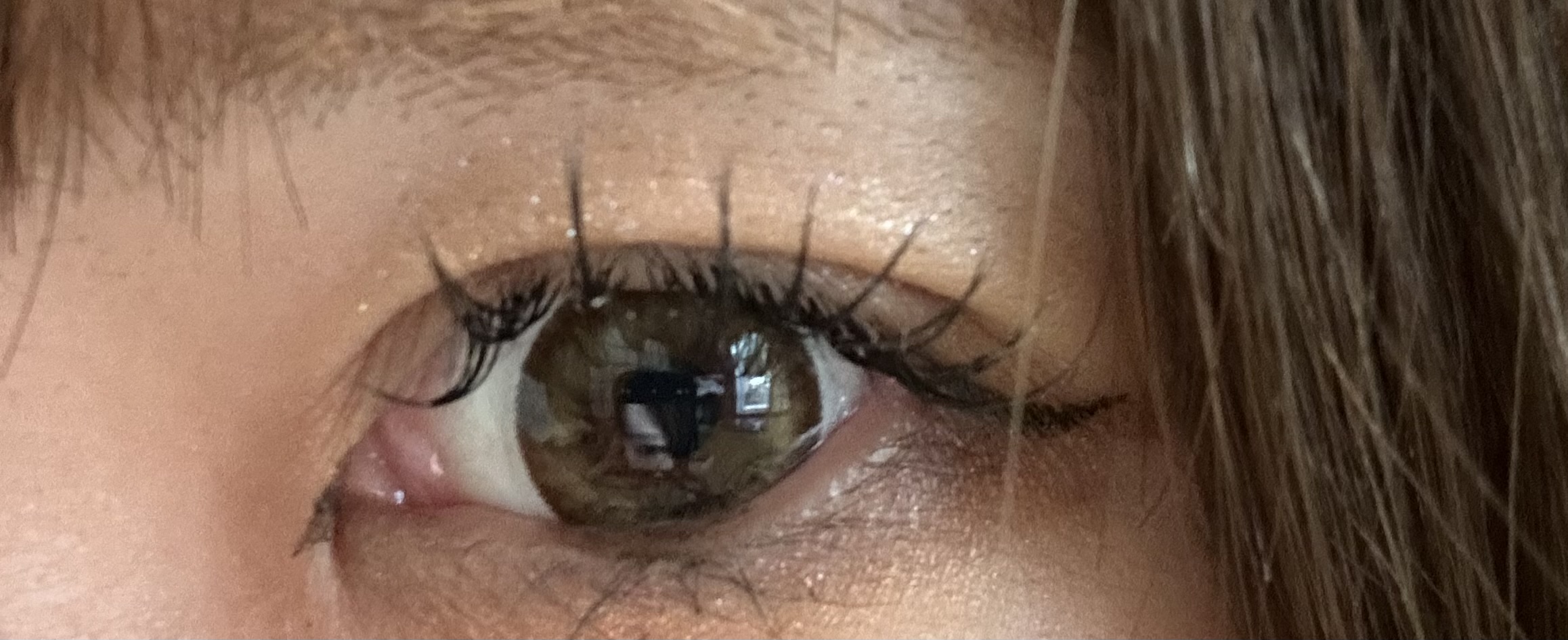 ミント・ブラウン [1年用] 14.0mm Mint Brown