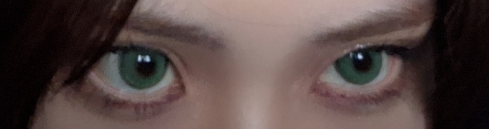 [1ヵ月] サハラ オリーブ